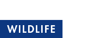  WILDLIFE 