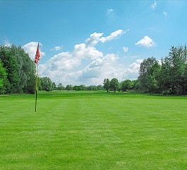 Rasen für Sportanlagen 