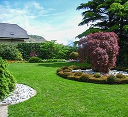  Rasenmischungen für den Hausgarten 